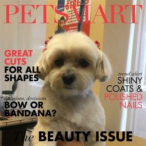 Meet your Posher, Valerie